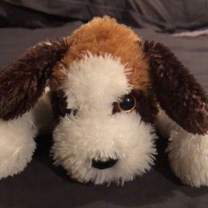 Meet your Posher, Jaimie